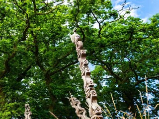 Casa per le vacanze Coleford Ambiente 34