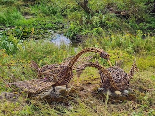 Ferienhaus Coleford  36