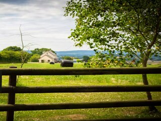 Vakantiehuis Coleford Omgeving 31