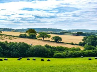 Holiday house Coleford Environment 31
