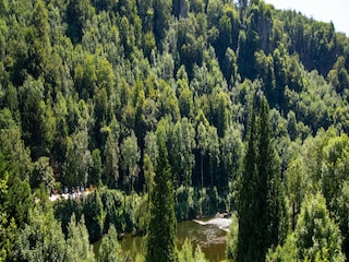 Ferienhaus Coleford Außenaufnahme 8