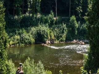 Vakantiehuis Coleford Omgeving 39