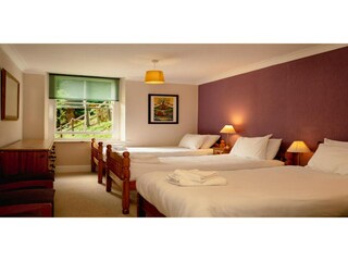 Holiday house Coleford Features 7