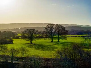 Maison de vacances Coleford Environnement 35