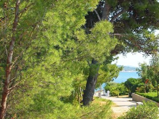 Appartement Orebic  11