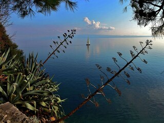 Apartamento Split (Stadt) Entorno 37