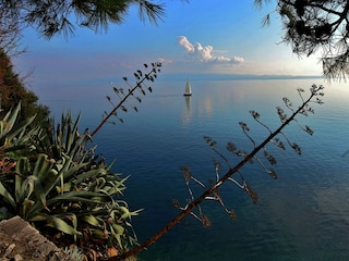 Apartment Split (Stadt) Environment 37