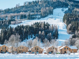 Chalet St. Lorenzen ob Murau Environment 30