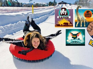 Chalet St. Lorenzen ob Murau Environment 24