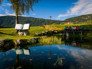 Chalet St. Lorenzen ob Murau Environment 29