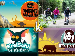 Chalet St. Lorenzen ob Murau Environment 25