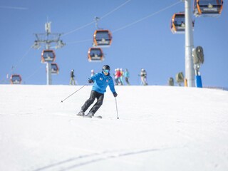 Chalet St. Lorenzen ob Murau Environment 15