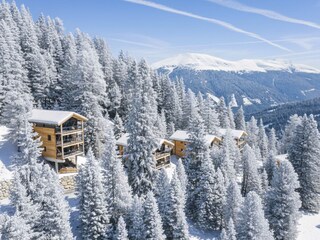 Naturchalets Turracher Höhe by ALPS RESORTS