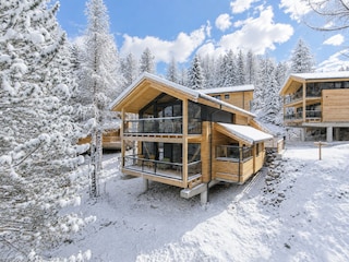 Chalet Turracherhöhe Außenaufnahme 4