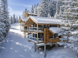 Chalet Turracherhöhe Outdoor Recording 1