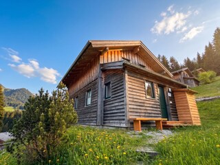 Chalet Annaberg-Lungötz  29