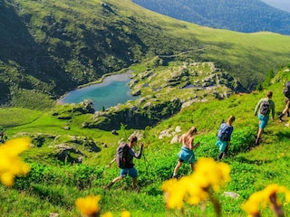 Apartment Turracherhöhe Umgebung 12
