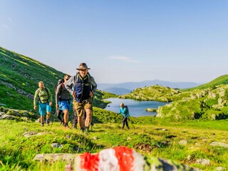 Chalet Turracherhöhe Umgebung 21