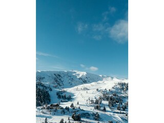 Chalet Turracherhöhe Außenaufnahme 7