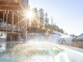 Chalet Haus im Ennstal Außenaufnahme 6