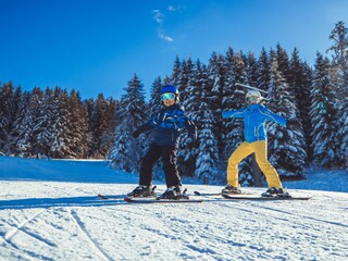 Chalet St. Lambrecht Umgebung 22