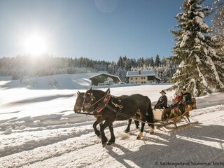 Apartment St. Martin am Tennengebirge Umgebung 21