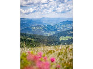 Chalet Stolzalpe Umgebung 25