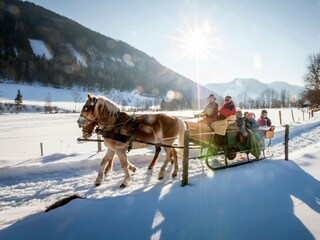 Chalet Stolzalpe Umgebung 27
