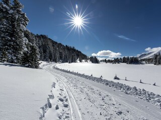 Chalet Stolzalpe Umgebung 27