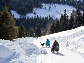 Chalet Stolzalpe Umgebung 30