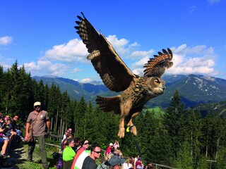 Apartment Eisenerz Environment 36