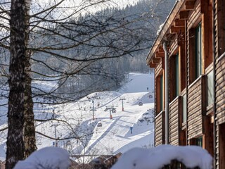 Apartment St. Lorenzen ob Murau Umgebung 22
