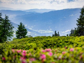 Apartment St. Lorenzen ob Murau Environment 22