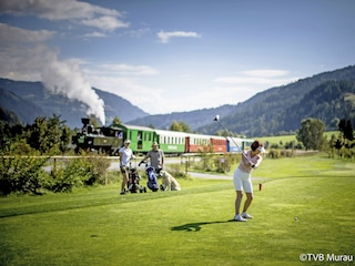 Chalet St. Lorenzen ob Murau Environment 23