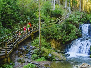 Chalet St. Lorenzen ob Murau Umgebung 19