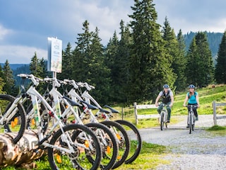 Chalet Hohentauern Environment 26