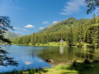 Chalet Hohentauern  33