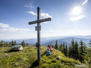 Chalet St. Georgen ob Murau Environment 17