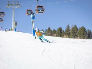 Chalet St. Lorenzen ob Murau Environment 30