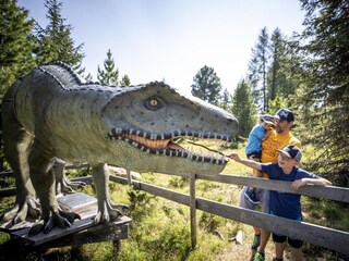 Chalet St. Lorenzen ob Murau Environment 25