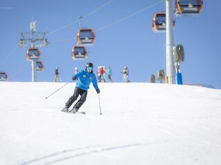 Chalet St. Lorenzen ob Murau Environment 29