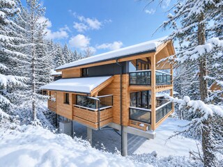 Chalet Turracherhöhe Außenaufnahme 4
