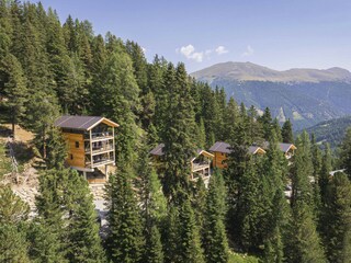 Chalet Turracherhöhe Environment 53