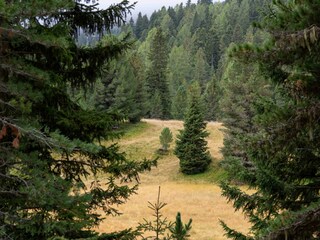 Chalet Turracherhöhe Environment 45