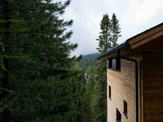 Chalet Turracherhöhe Environment 46