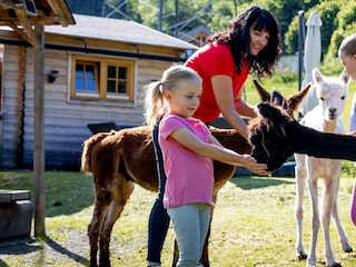 Apartment Bodendorf Environment 41