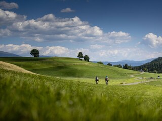 Apartment Bodendorf Environment 28