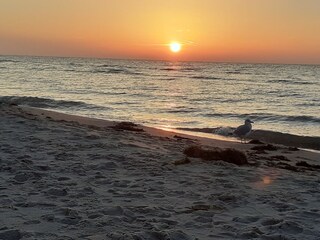 Sonnenuntergang am Weststrand