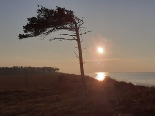 Abendstimmung am Weststrand