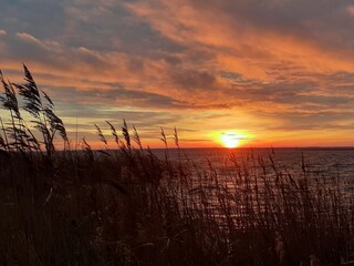 Sonnenaufgang am Bodden